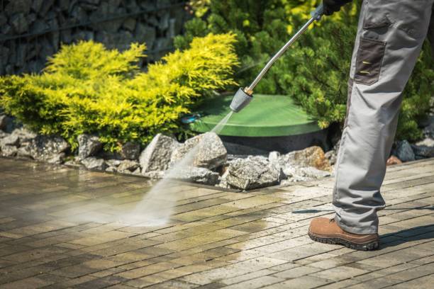 Boat and Dock Cleaning in Vidalia, GA